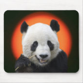 TAI SHAN MOUSEPAD (Vorne)