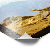 Taif Baboons Fotodruck (Ecke)