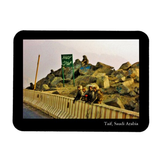 Taif, Saudi-Arabien Magnet (Horizontal)