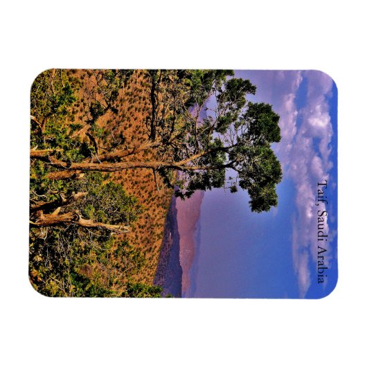 Taif, Saudi-Arabien Magnet (Horizontal)