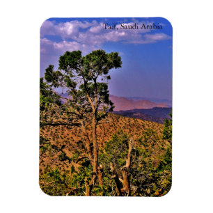 Taif, Saudi-Arabien Magnet