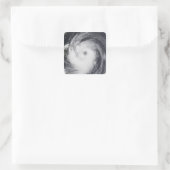 Taifun Chaba im Western des Pazifischen Ozeans Quadratischer Aufkleber (Tasche)