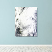 Taifun Chaba in der philippinischen See Leinwanddruck (Insitu (Holzboden))