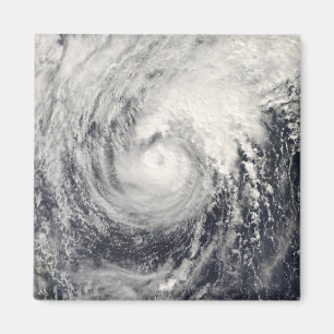 Taifun-Delphin im philippinischen Meer Magnet