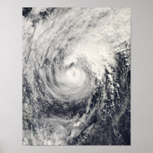 Taifun-Delphin im philippinischen Meer Poster