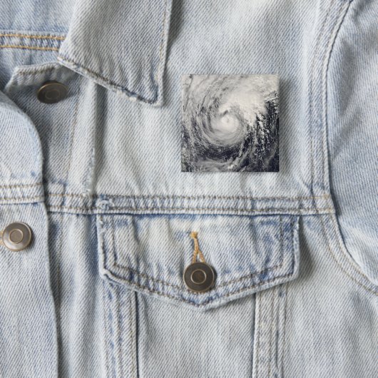 Taifun Dolphin im philippinischen Meer Button (Beispiel)