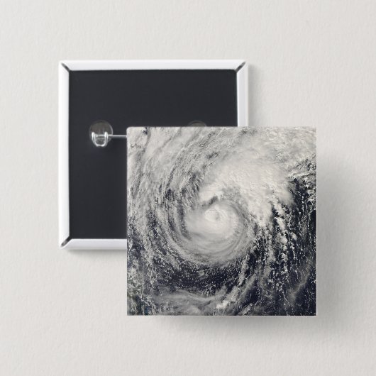 Taifun Dolphin im philippinischen Meer Button (Vorne & Hinten)