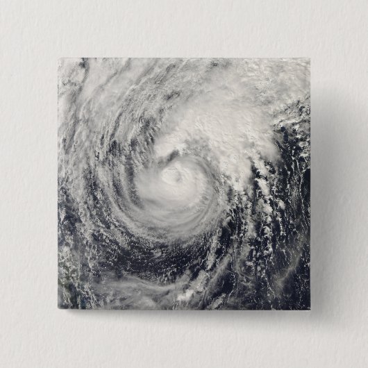 Taifun Dolphin im philippinischen Meer Button (Vorderseite)