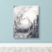 Taifun Dolphin im philippinischen Meer Leinwanddruck (Insitu (Holzboden))