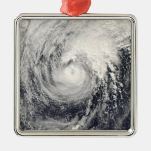 Taifun Dolphin im philippinischen Meer Ornament Aus Metall