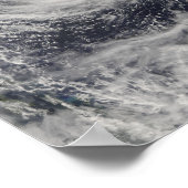 Taifun Dolphin im philippinischen Meer Poster (Ecke)