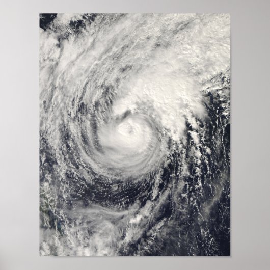 Taifun Dolphin im philippinischen Meer Poster (Vorne)