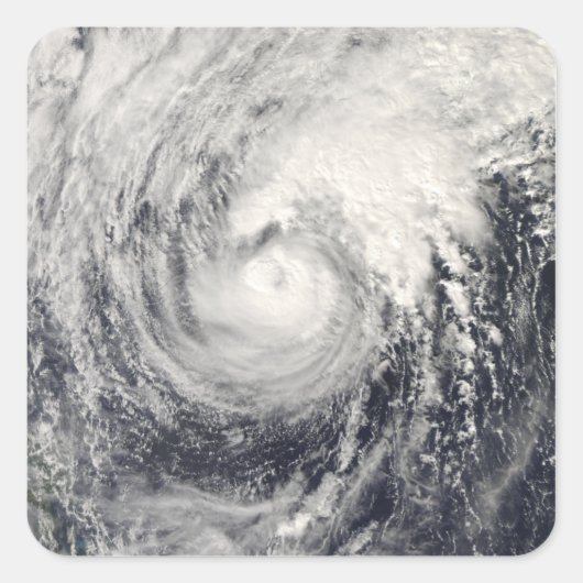 Taifun Dolphin im philippinischen Meer Quadratischer Aufkleber (Vorderseite)
