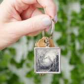 Taifun Dolphin im philippinischen Meer Schlüsselanhänger (Hand)