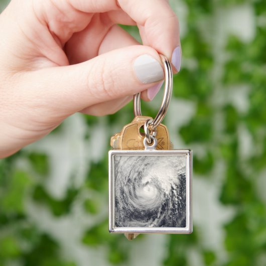 Taifun Dolphin im philippinischen Meer Schlüsselanhänger (Hand)