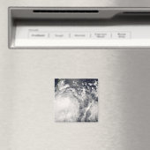 Taifun Fengshen über den Philippinen Magnet (In Situ (Geschirrspüler))