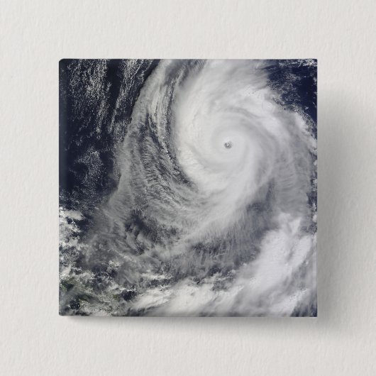 Taifun Lupit 2 Button (Vorderseite)