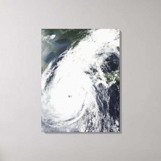 Taifun Rusa 2 Leinwanddruck (Vorderseite)