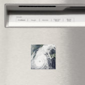 Taifun Rusa 2 Magnet (In Situ (Geschirrspüler))