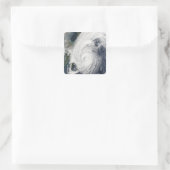 Taifun Tokage südlich von Japan Quadratischer Aufkleber (Tasche)