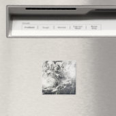 Taifune Mitag und Hagibis Magnet (In Situ (Geschirrspüler))