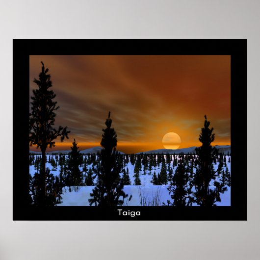 Taiga Poster (Vorne)