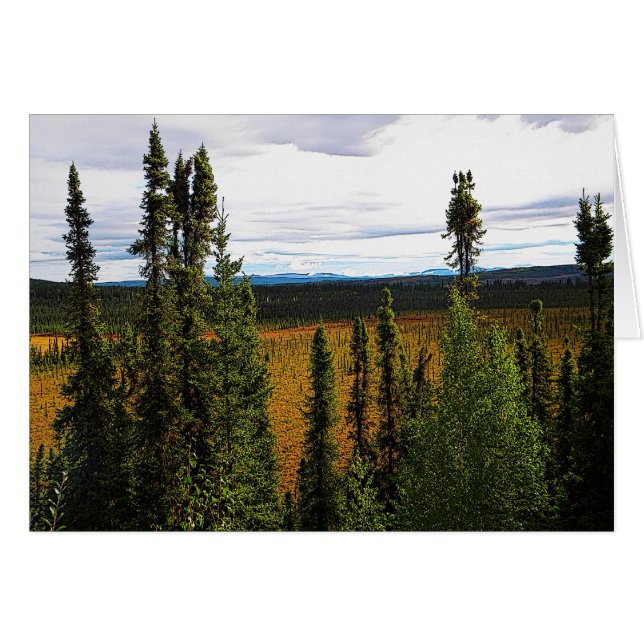 Taiga Summer (Vorderseite (Horizontal))