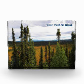 Taiga Summer Fotoblock (Vorderseite)