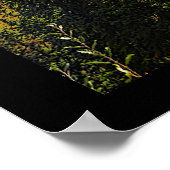 Taiga Summer Poster (Ecke)