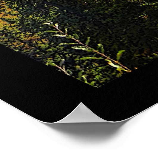 Taiga Summer Poster (Ecke)