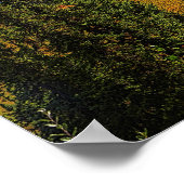 Taiga Summer Poster (Ecke)