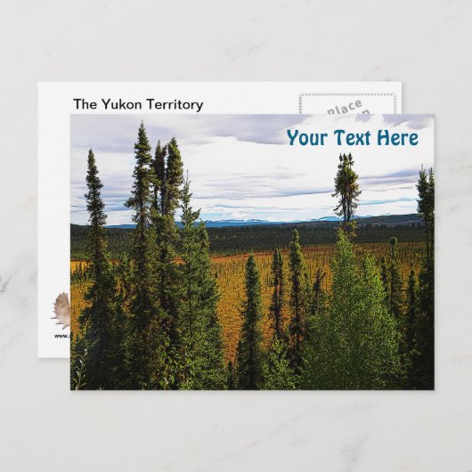 Taiga Summer Postkarte (Vorne/Hinten)