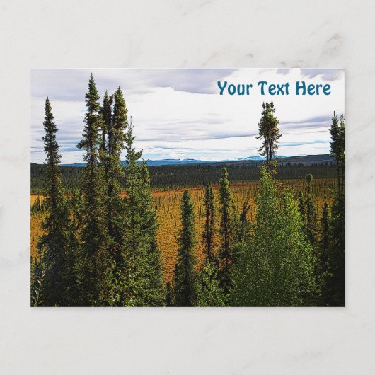 Taiga Summer Postkarte (Vorderseite)