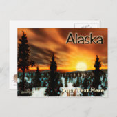 Taiga Sun - Alaska Postkarte (Vorne/Hinten)