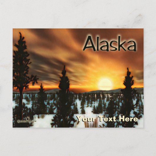 Taiga Sun - Alaska Postkarte (Vorderseite)