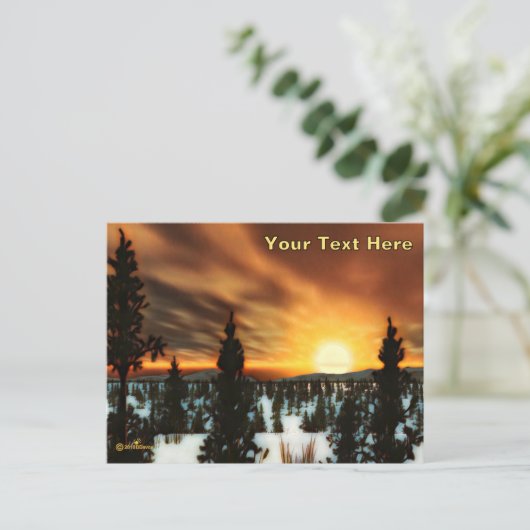 Taiga Sun Postkarte (Stehend Vorderseite)