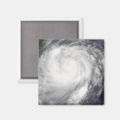 Taihoon Haitang Magnet (Vorderseite/Rückseite)