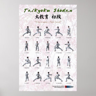 Taikyoku Shodan - Erste Kata Poster