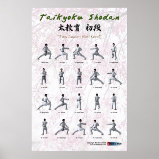 Taikyoku Shodan - Erste Kata Poster