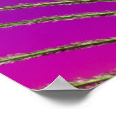 Tail feather of a peacock poster (Ecke)