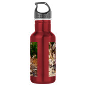 Taille Edelstahlflasche (Rückseite)