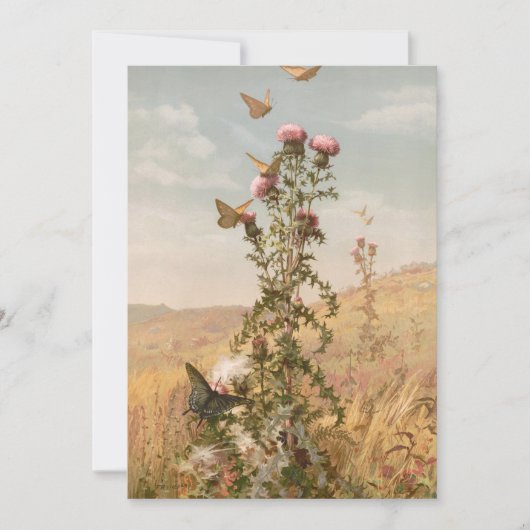 Taille | Fidelia Bridges (Vorderseite)