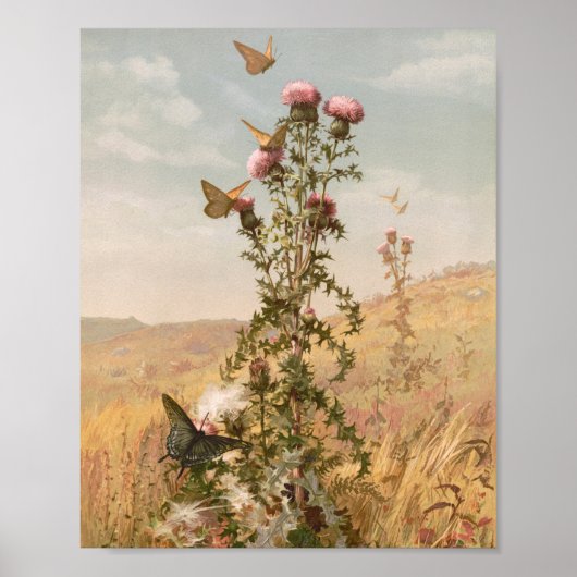 Taille | Fidelia Bridges Poster (Vorne)