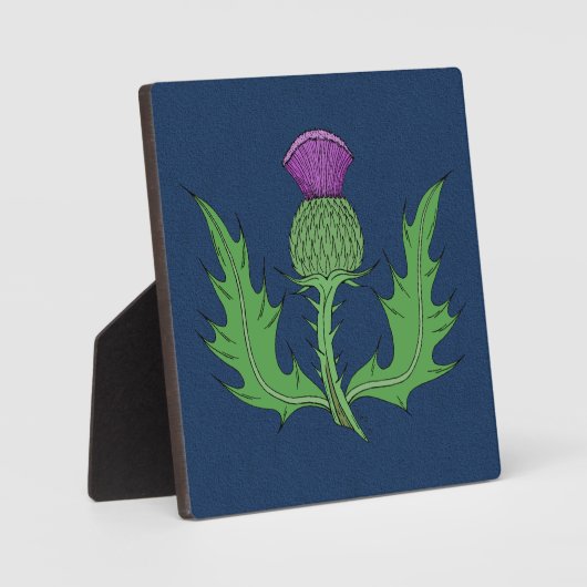 Taille Fotoplatte (Vorderseite)