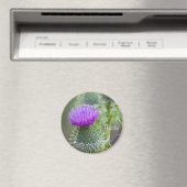Taille Magnet (In Situ (Geschirrspüler))