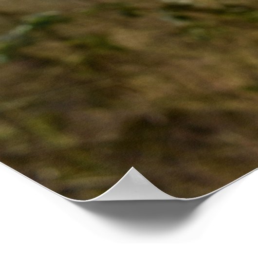 Taille Poster (Ecke)