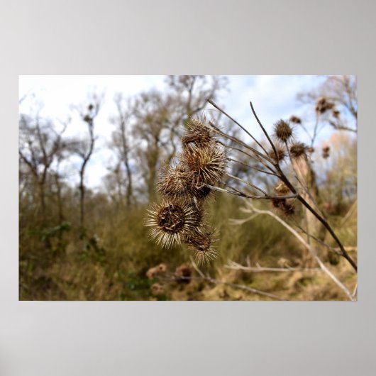 Taille Poster (Vorne)