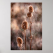 Taille Poster (Vorne)