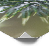 Taille Poster (Ecke)