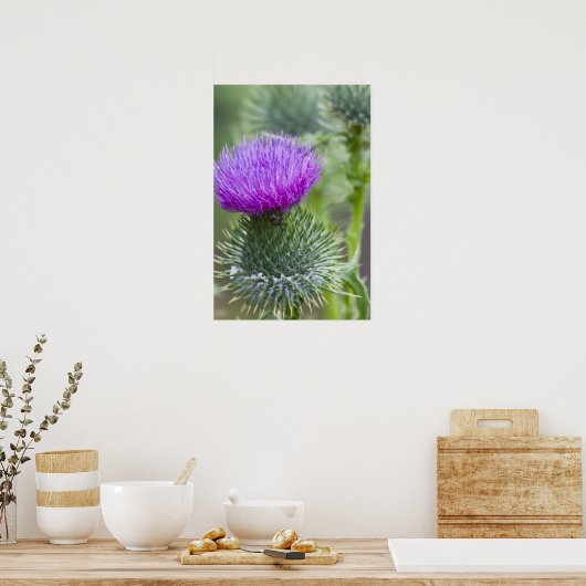 Taille Poster (Küche)